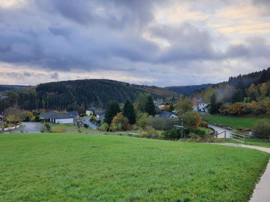 Holzhaus Chalet Nationalpark Eifel Hund Willkommen Hellenthal Eksteriør billede