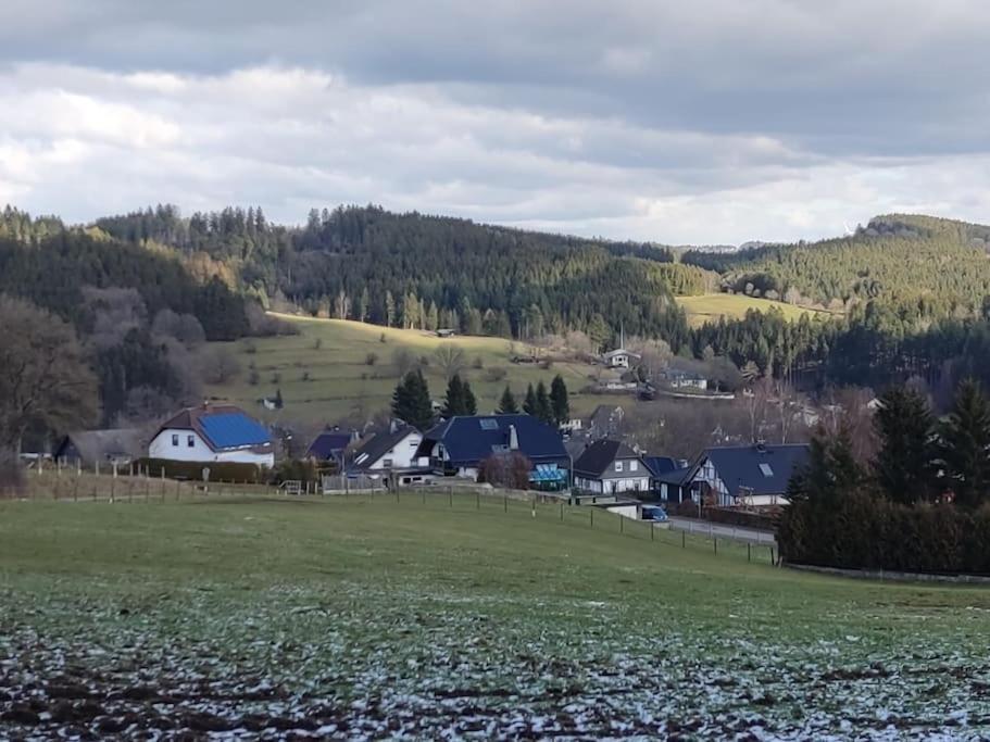 Holzhaus Chalet Nationalpark Eifel Hund Willkommen Hellenthal Eksteriør billede