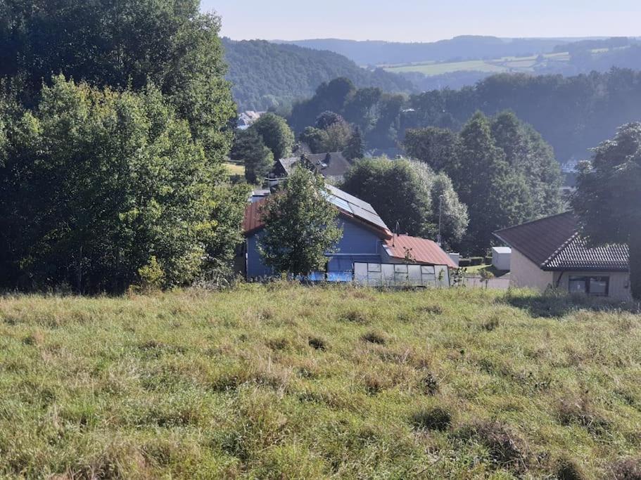 Holzhaus Chalet Nationalpark Eifel Hund Willkommen Hellenthal Eksteriør billede